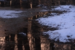 thumbs_02