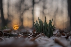 thumbs_05